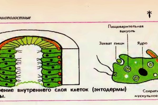 Кракен даркент